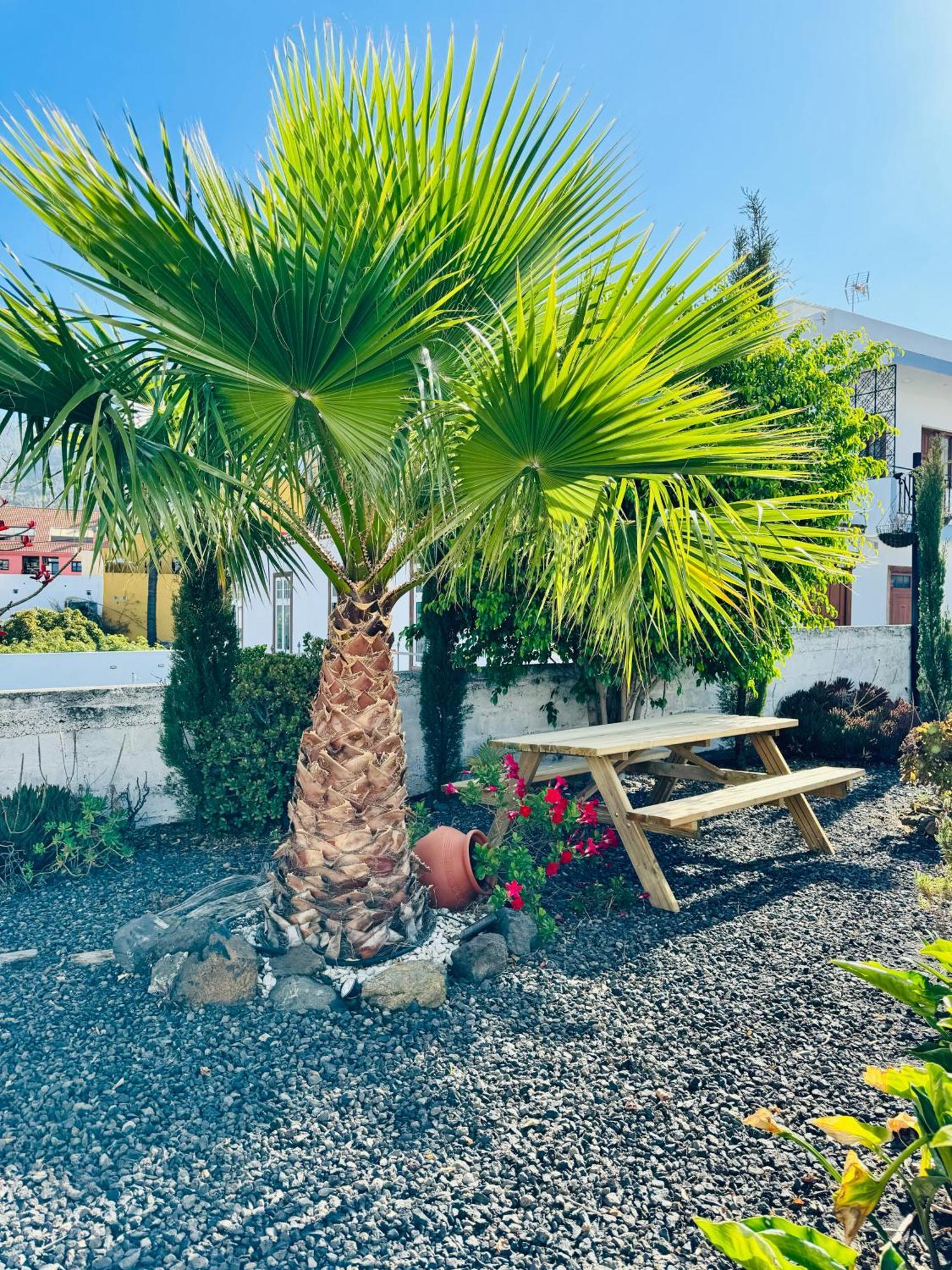 Bungalow Los Laureles El Paso Buitenkant foto